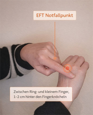 EFT Notfallpunkt 2